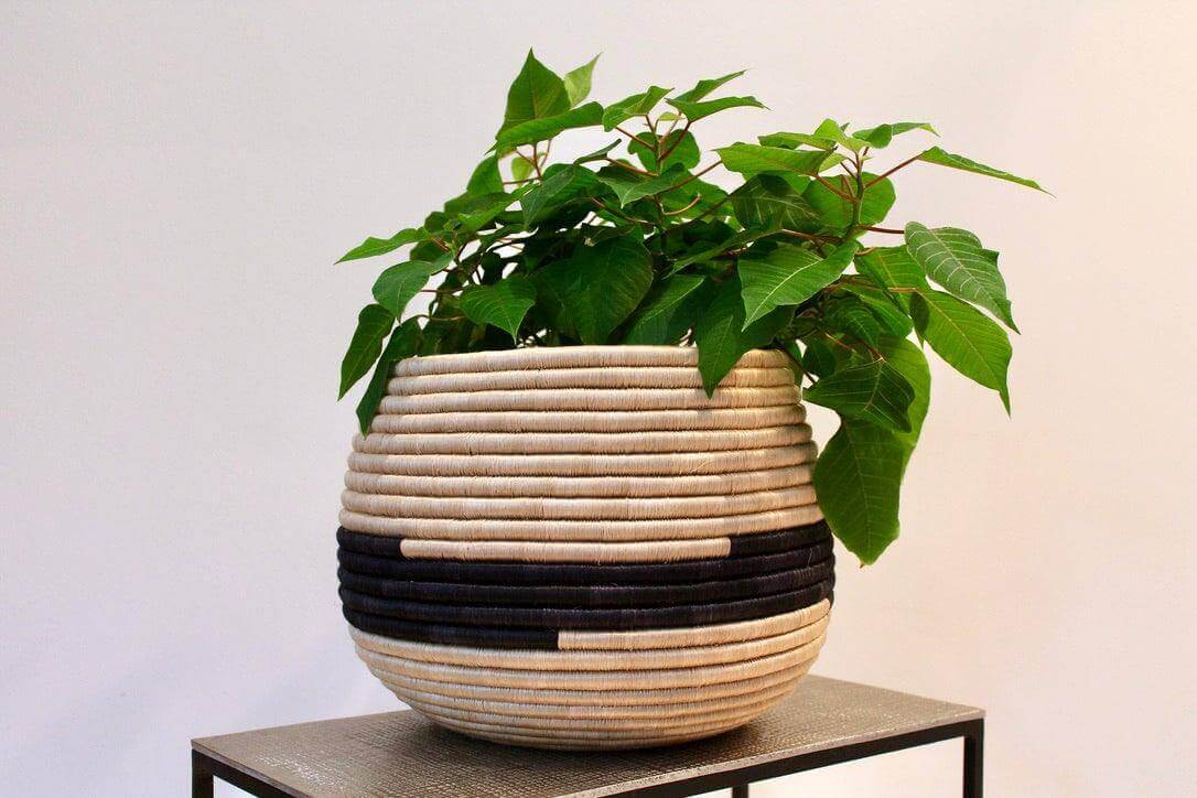 Handwoven African seagrass planter