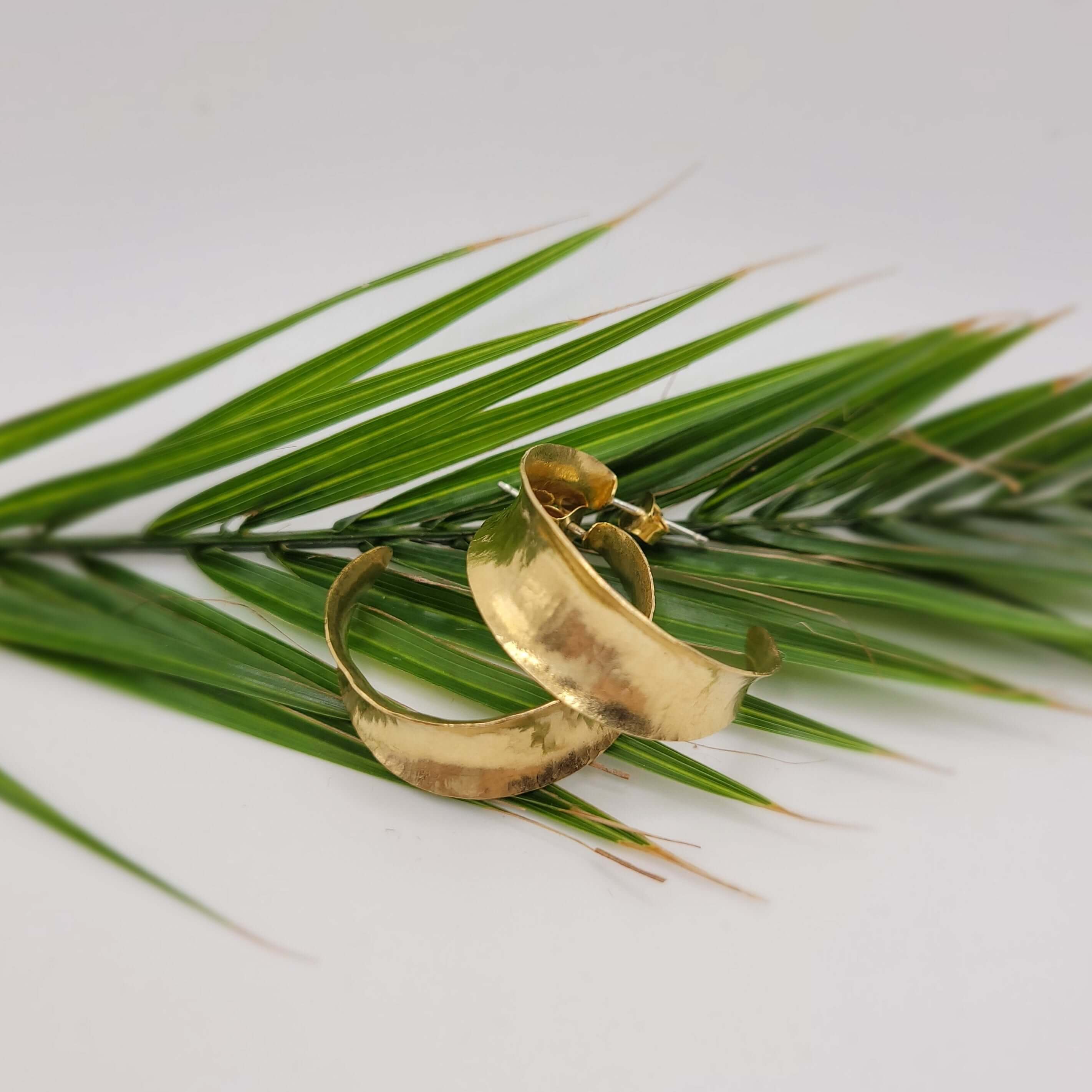 Tazara Brass Hoop Earrings on palm leaf