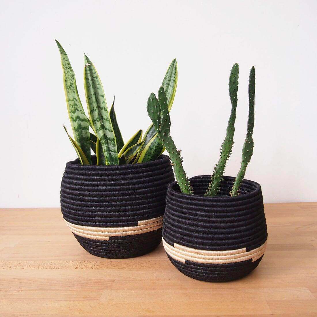 Artisan seagrass plant pots from Rwanda