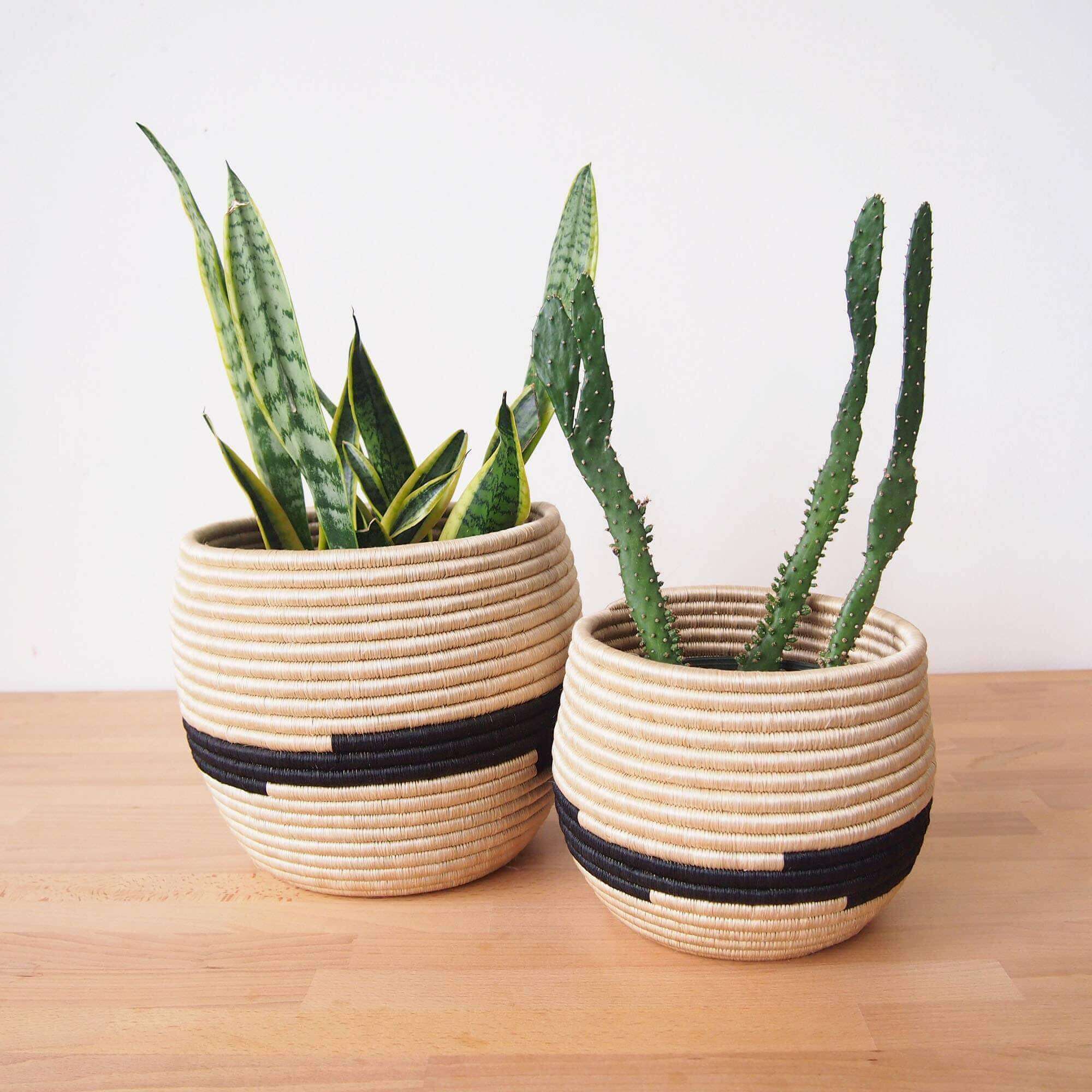 Seagrass plant pots handcrafted by Rwandan artists