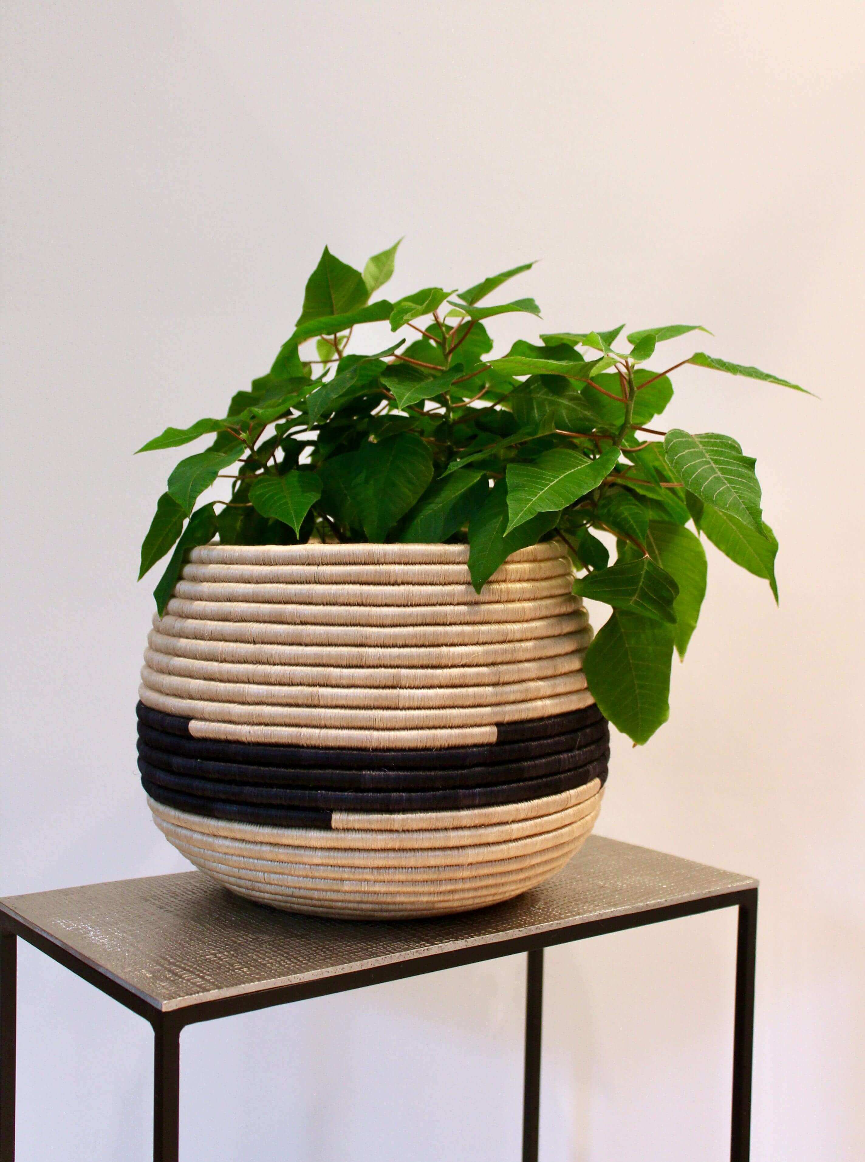 Fair trade handmade seagrass planter from Rwanda