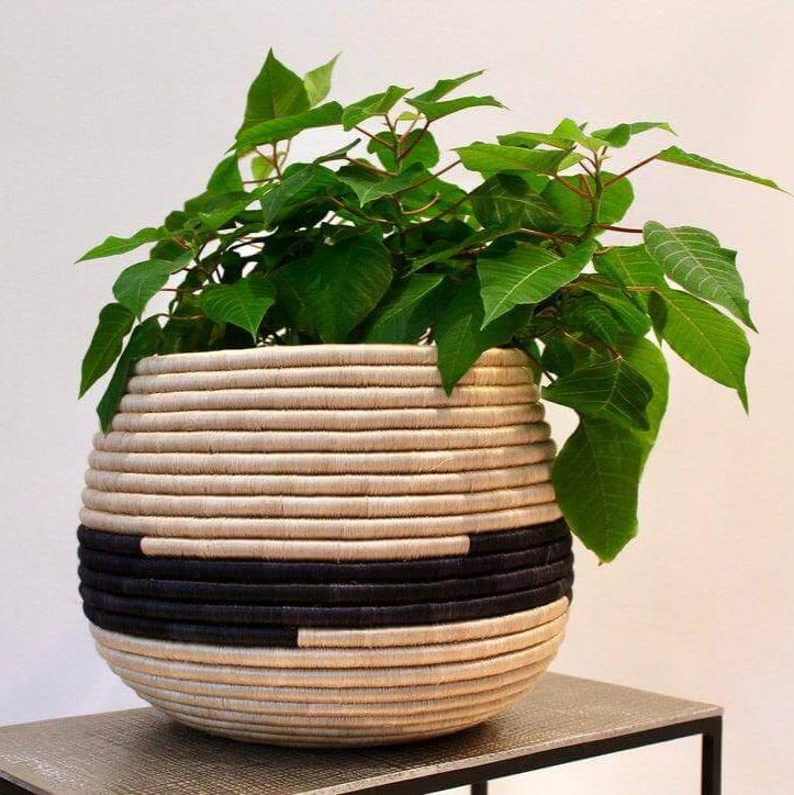 large honey pot planter Honey Pot Seagrass Planter