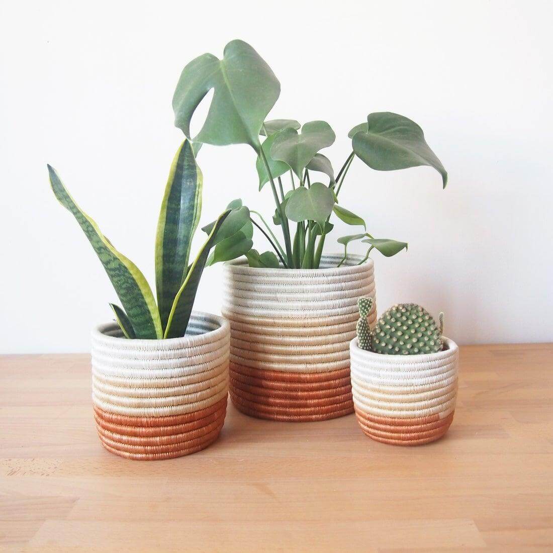 Artisan handwoven seagrass plant pots rust and white coloured