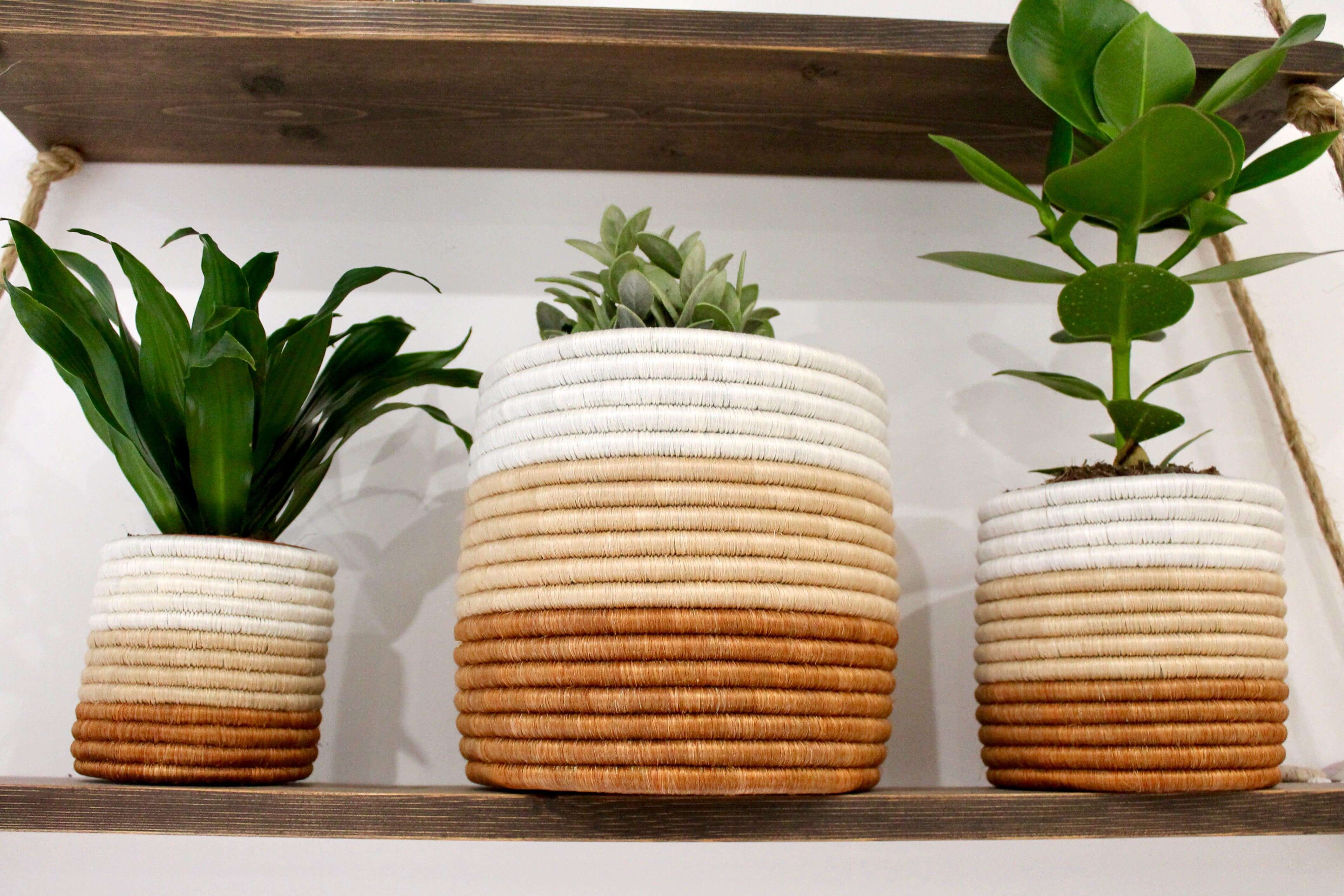 african plant pot Seagrass Plant Pot